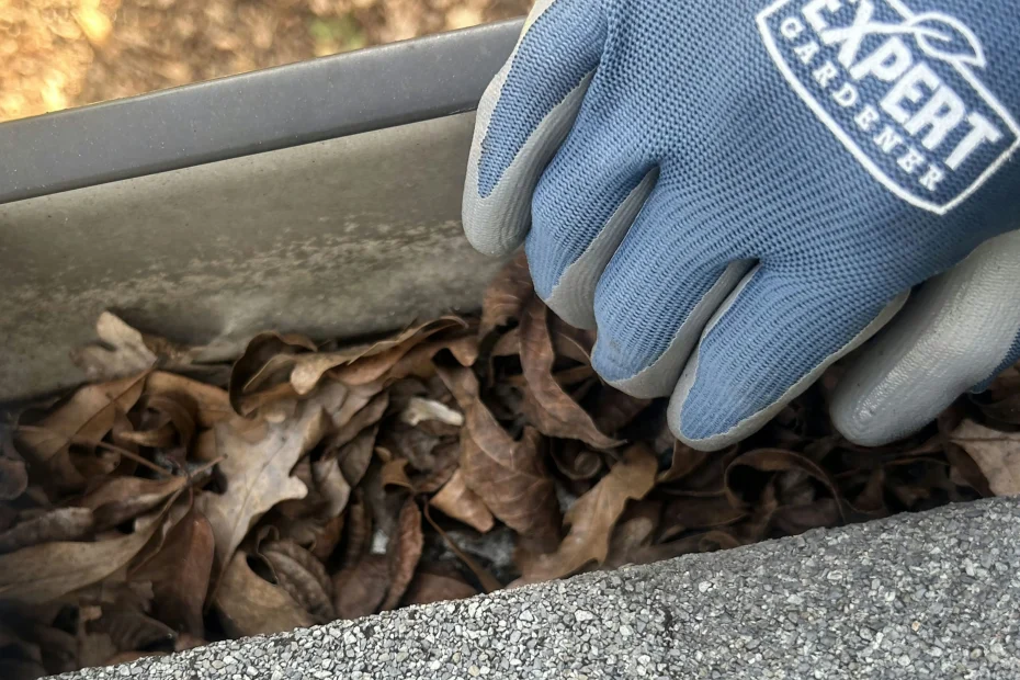 Gutter Cleaning Archdale