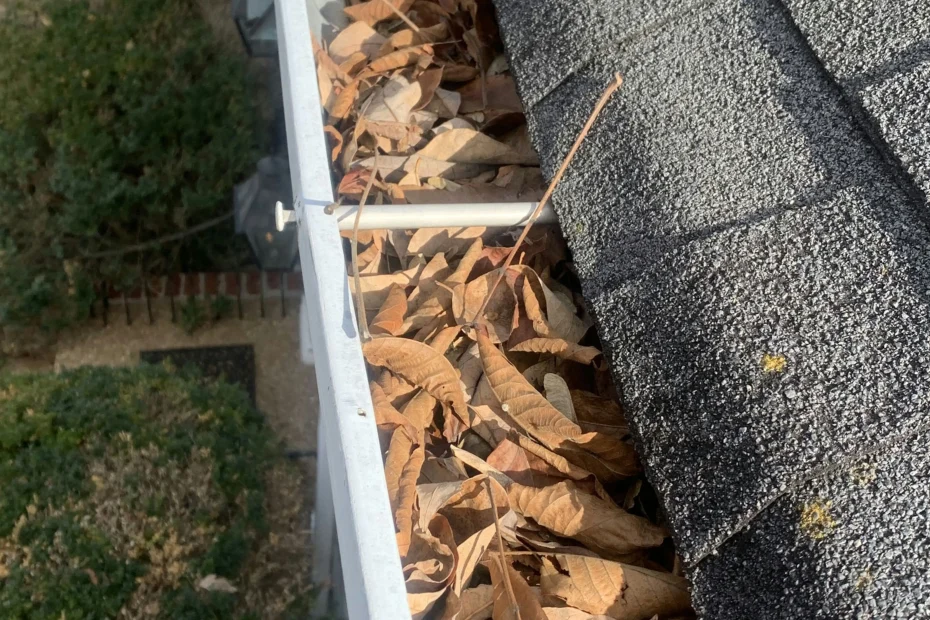 Gutter Cleaning Archdale